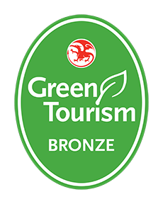 GTBS Wales Bronze