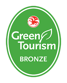 GTBS Wales Bronze GTBS Wales Bronze